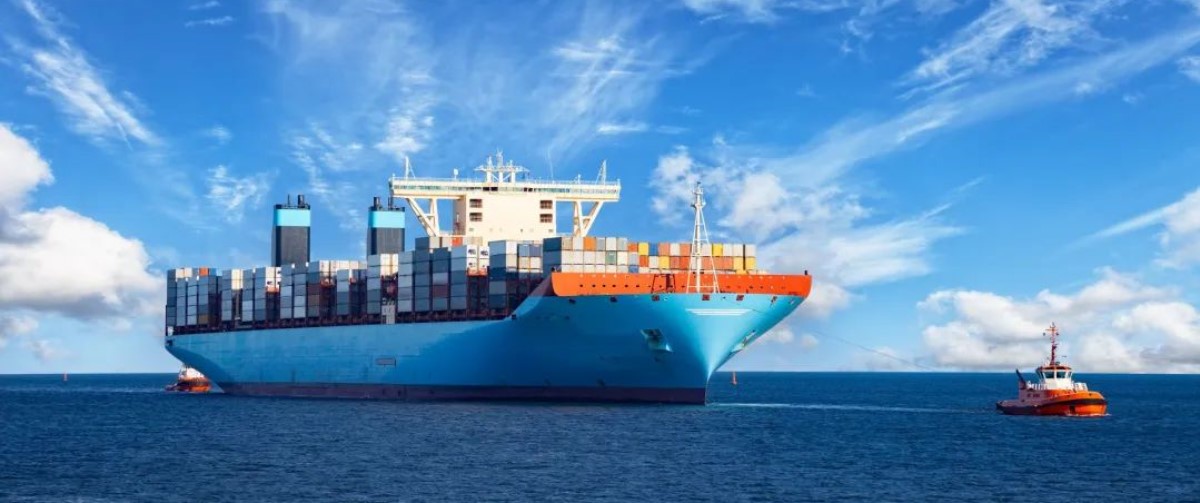 Sky-high freight rates drop for 17 consecutive weeks!